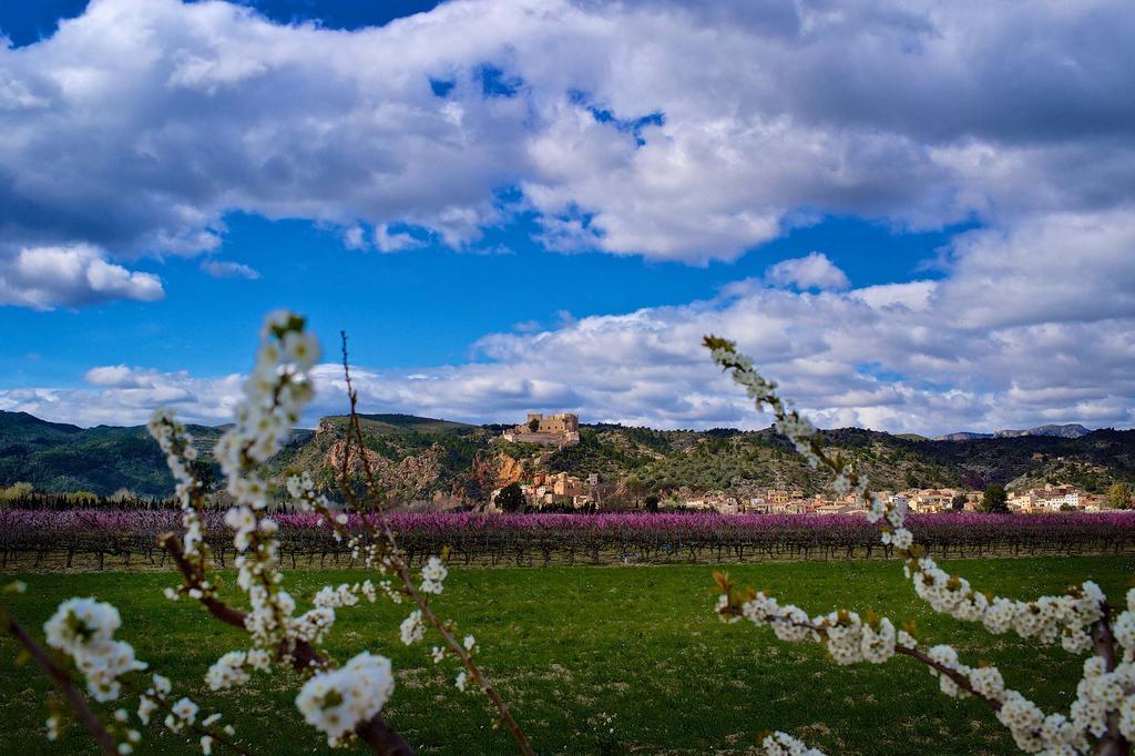 Ca La Maria Daire Mora d'Ebre Dış mekan fotoğraf